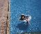 gal_child4_pool